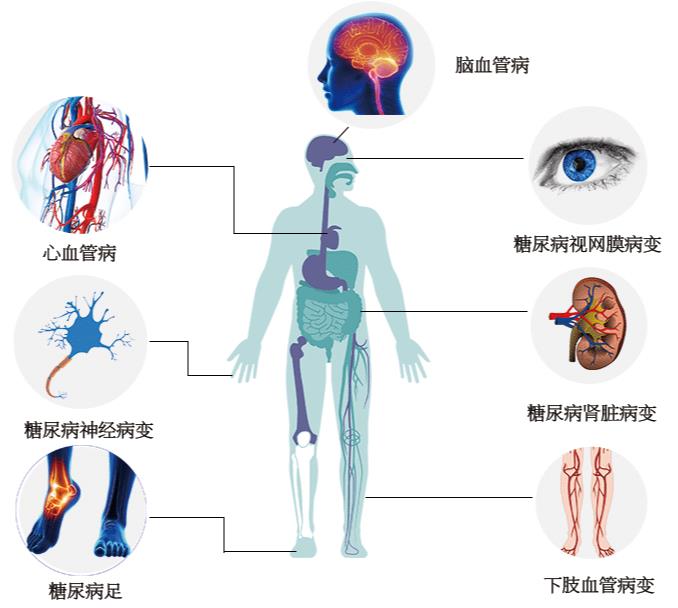 360截图20230801102425480.jpg