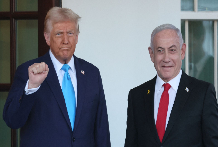 朗总02.png 朗总02.png